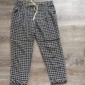 Wilfred 💯 % silk pants